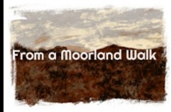 Click to go to the poem's page